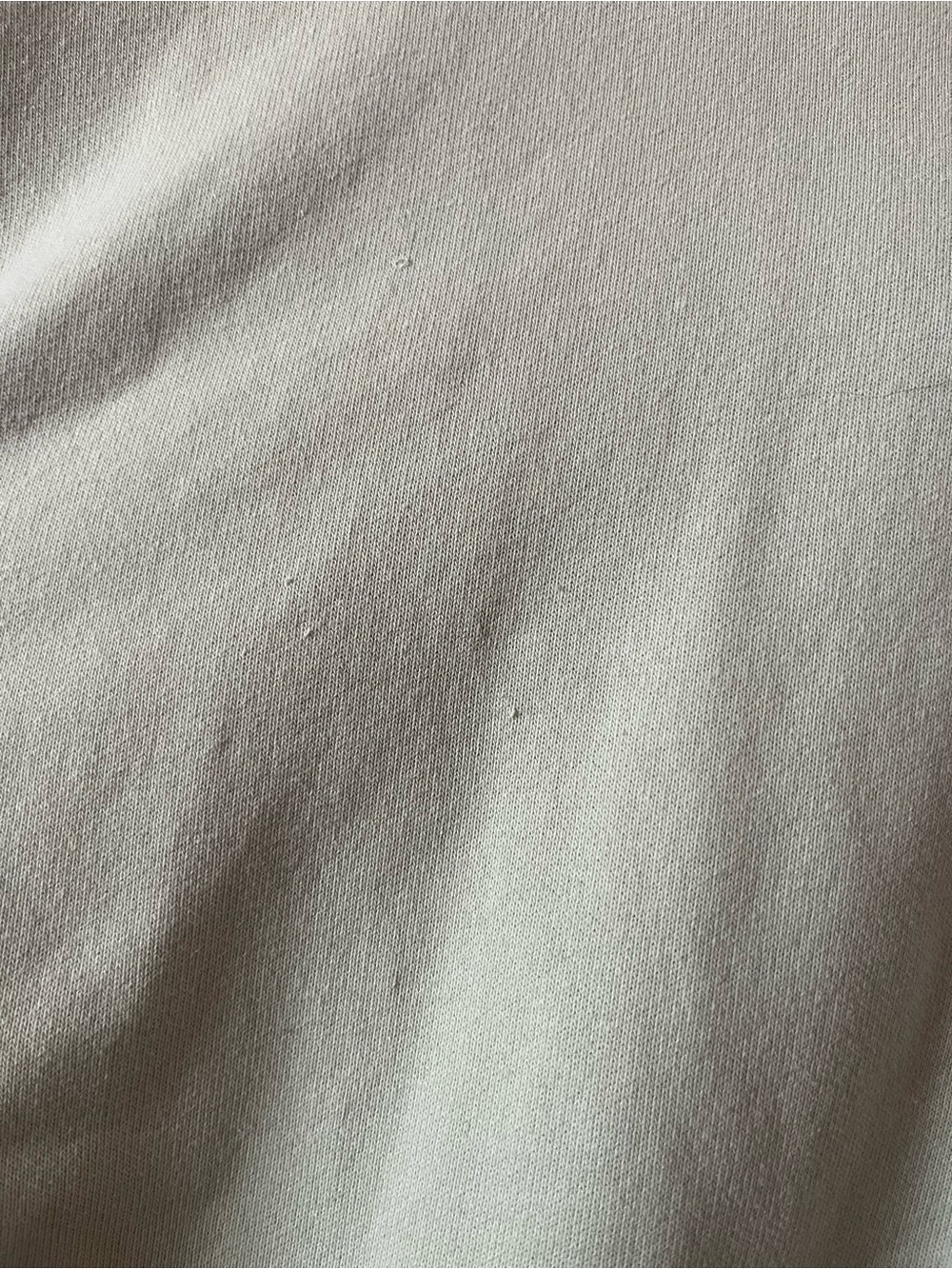 Carhartt Hooded Sweatshirt in Pale Green - Picture 4 of 5